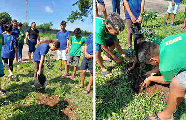 Funda&ccedil;&atilde;o de Meio Ambiente e Desenvolvimento Rural de Lad&aacute;rio realiza plantio de mudas nativas do Brasil