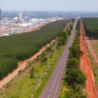 Com projeto robusto, Rota da Celulose tem expectativa de voltar ao mercado no primeiro trimestre de 2025