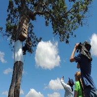 Destaque nacional: Mato Grosso do Sul &eacute; Top 3 no concurso de turismo sustent&aacute;vel da Embratur