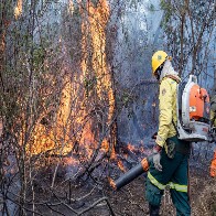 Presidente assina MP para recupera&ccedil;&atilde;o de &aacute;reas afetadas por eventos clim&aacute;ticos extremos