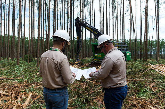 Eldorado Brasil inicia 2025 com feirão de empregos em Inocência e Três Lagoas