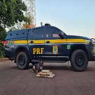 Passageira boliviana &eacute; detida pela PRF com 8 Kg de maconha na BR-262