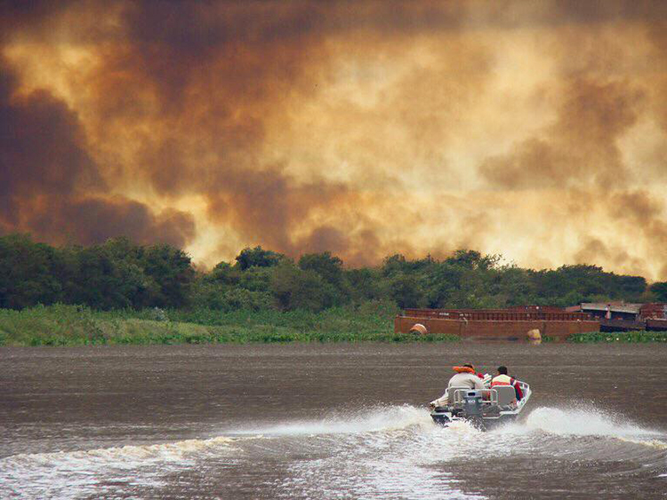 O ‘Legado das Cinzas’: Estudo mostra efeitos dos incêndios no Pantanal brasileiro através de testes toxicológicos das cinzas