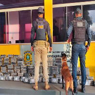 Pol&iacute;cia Rodovi&aacute;ria Federal apreende 237 Kg de coca&iacute;na em Guia Lopes da Laguna 