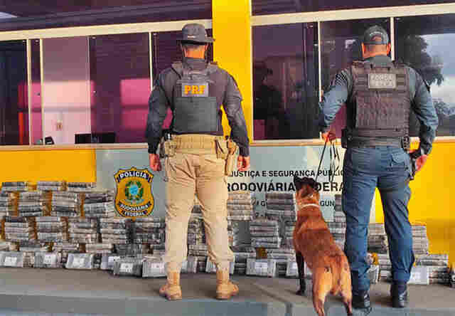Pol&iacute;cia Rodovi&aacute;ria Federal apreende 237 Kg de coca&iacute;na em Guia Lopes da Laguna 