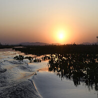 Com atua&ccedil;&atilde;o transversal, Governo de MS elabora programa integrado para a regi&atilde;o do Pantanal