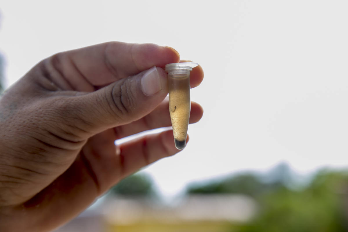 Mutirão de combate à dengue acontece sábado, dia 25, no bairro Guatós