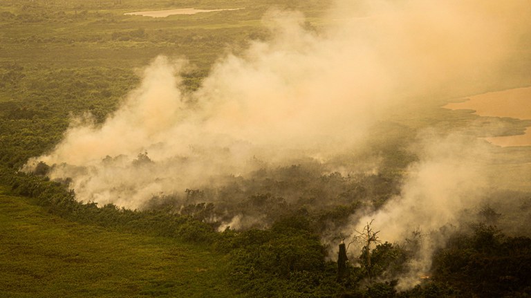AGU cobra R$ 725 milhões de três infratores ambientais em Corumbá no Pantanal