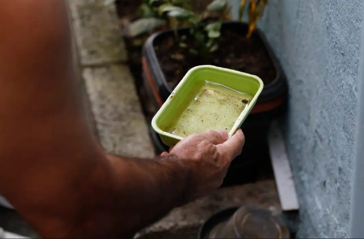 MS divulga primeiros resultados do LIRAa 2025 para enfrentamento à dengue