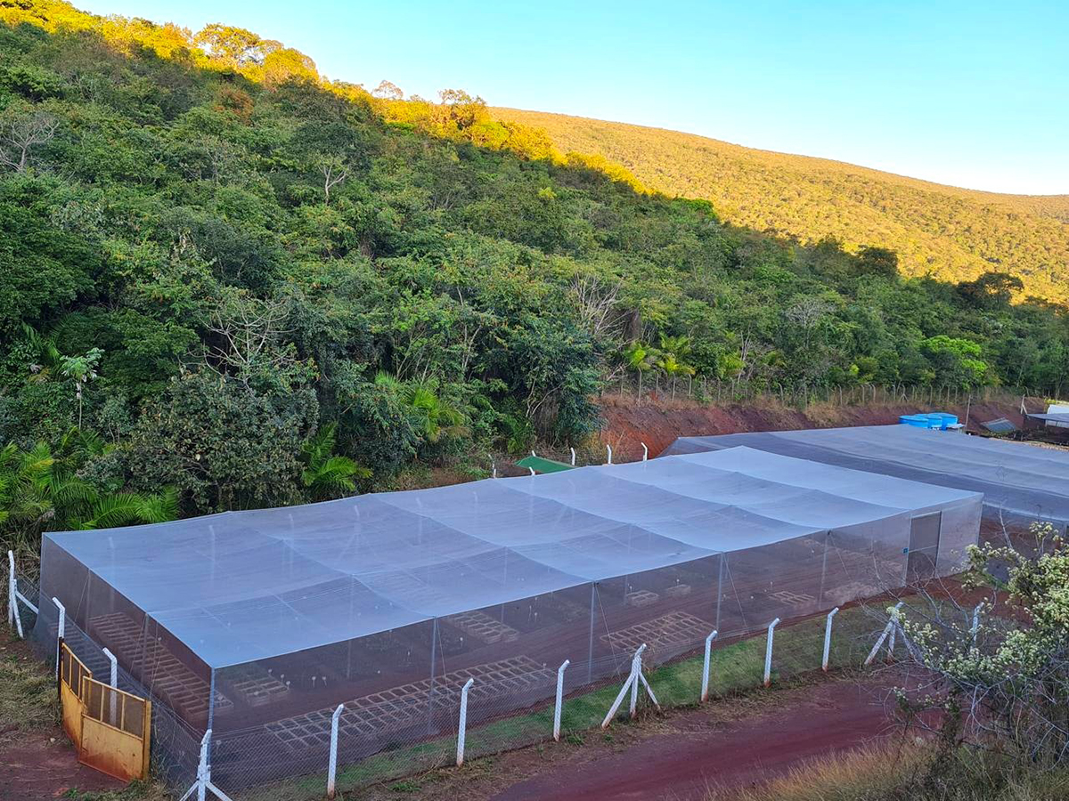 LHG Mining recupera mais de 100 mil m² de áreas nativas em Corumbá