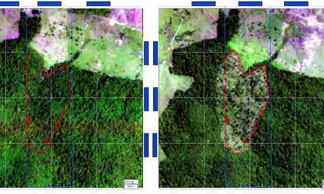BNDES usa imagens de sat&eacute;lite para barrar empr&eacute;stimo a desmatadores 