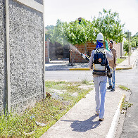A&ccedil;&otilde;es contra a dengue eliminam 348 toneladas de poss&iacute;veis criadouros do mosquito