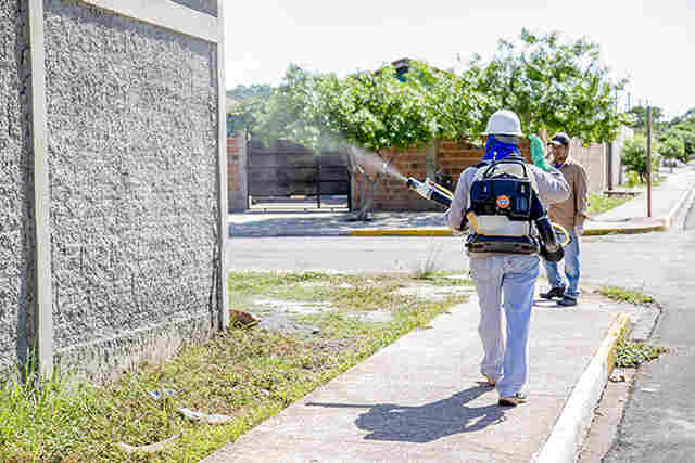 A&ccedil;&otilde;es contra a dengue eliminam 348 toneladas de poss&iacute;veis criadouros do mosquito