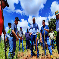 Inclus&atilde;o Verde: Mato Grosso do Sul inova ao inserir a agricultura familiar no mercado de cr&eacute;dito de carbono