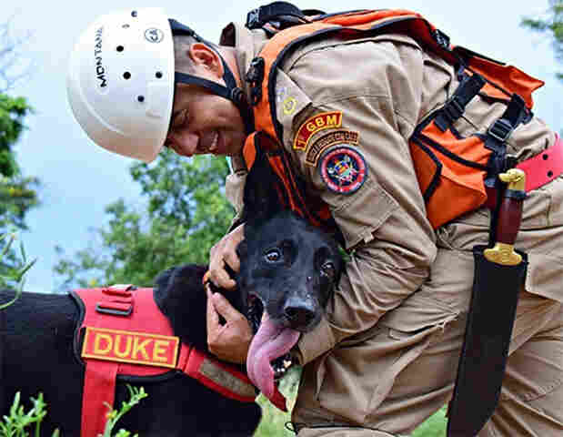 C&atilde;o de busca e resgate do Corpo de Bombeiros Militar de MS Duke faleceu aos 14 anos