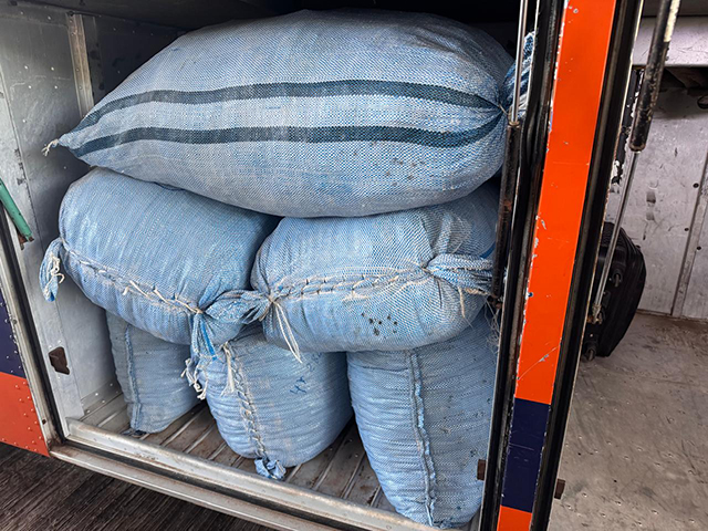 Tr&ecirc;s passageiros bolivianos s&atilde;o detidos ap&oacute;s ingerirem cerca de 100 c&aacute;psulas de pasta base de coca&iacute;na 