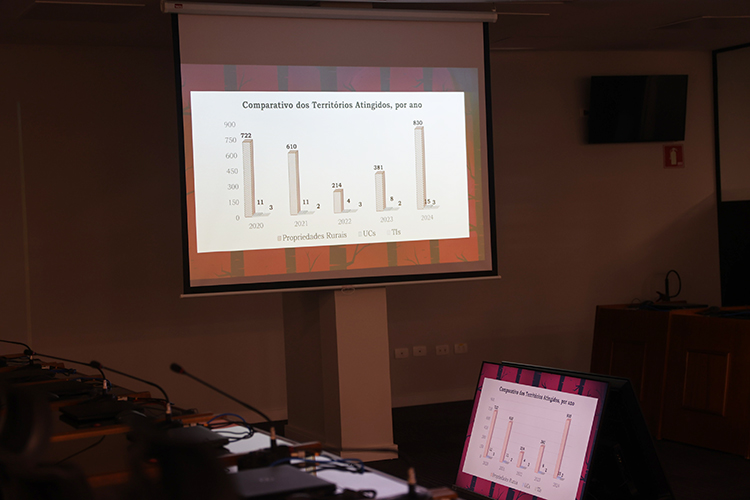 N&uacute;cleo Ambiental do MPMS re&uacute;ne autoridades para debater a&ccedil;&otilde;es priorit&aacute;rias no combate aos inc&ecirc;ndios no Pantanal 