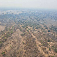 Inc&ecirc;ndio de grande propor&ccedil;&atilde;o no Pantanal em Corumb&aacute; &eacute; investigado pelo MPMS