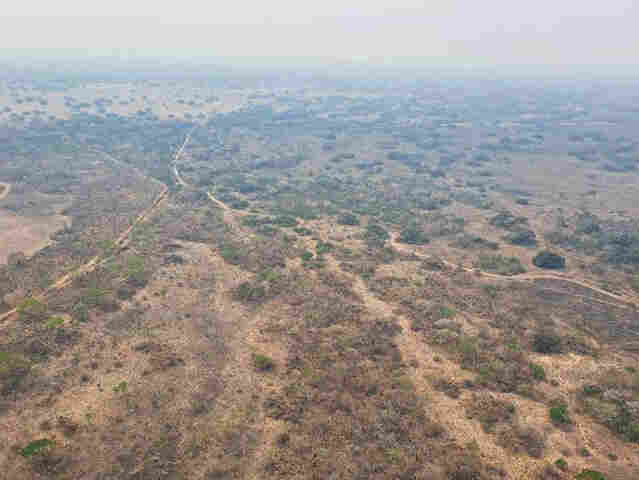 Inc&ecirc;ndio de grande propor&ccedil;&atilde;o no Pantanal em Corumb&aacute; &eacute; investigado pelo MPMS