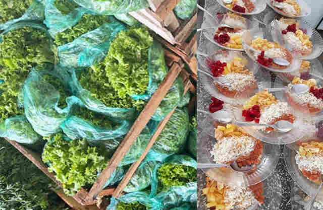 Munic&iacute;pio de Lad&aacute;rio prioriza alimenta&ccedil;&atilde;o escolar de qualidade e nutricionalmente equilibrada