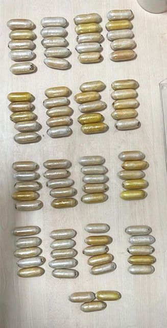 Apreens&atilde;o com c&aacute;psulas de coca&iacute;na em Corumb&aacute; tem um aumento expressivo nos primeiros meses do ano