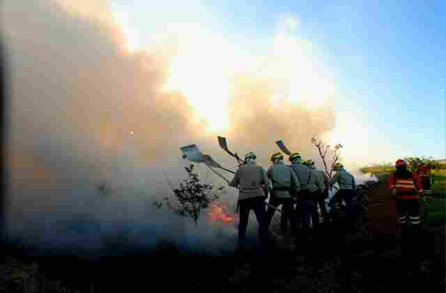 Preven&ccedil;&atilde;o aos inc&ecirc;ndios: Governo de MS vai antecipar cronograma e lan&ccedil;ar PSA Brigadas j&aacute; em abril