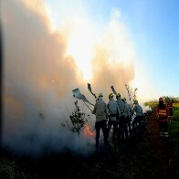 Preven&ccedil;&atilde;o aos inc&ecirc;ndios: Governo de MS vai antecipar cronograma e lan&ccedil;ar PSA Brigadas j&aacute; em abril