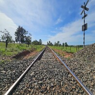 ANTT aprova proposta de constru&ccedil;&atilde;o de ramal ferrovi&aacute;rio para escoar celulose pela Malha Norte