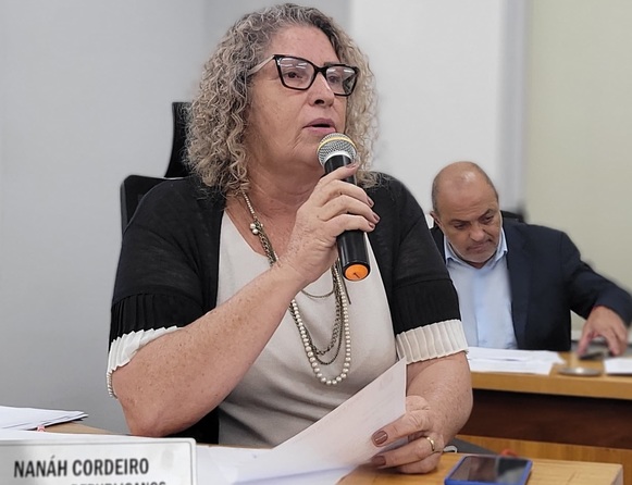 Na C&acirc;mara, Nanah cobra provid&ecirc;ncias para conclus&atilde;o da passarela do Previsul