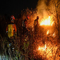 Sejusp alinha atua&ccedil;&atilde;o integrada para enfretamento aos inc&ecirc;ndios no Pantanal