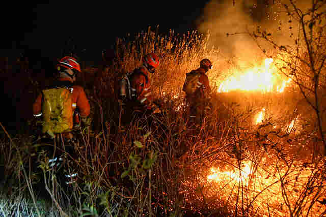 Sejusp alinha atua&ccedil;&atilde;o integrada para enfretamento aos inc&ecirc;ndios no Pantanal