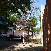 Deputada Gleice Jane solicita relat&oacute;rio sobre as interrup&ccedil;&otilde;es de energia el&eacute;trica em Corumb&aacute; e Lad&aacute;rio 