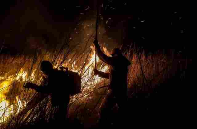 Governo de MS lan&ccedil;a edital do PSA Brigadas para fortalecer preven&ccedil;&atilde;o e combate a inc&ecirc;ndios no Pantanal
