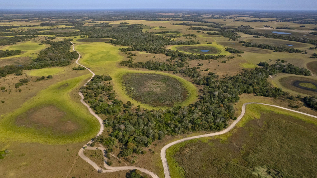 Análise aponta viabilidade de soluções baseadas na natureza para o Parque Estadual do Pantanal do Rio Negro