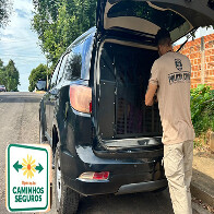 Durante &ldquo;Opera&ccedil;&atilde;o Caminhos Seguros 2025&rdquo; Pol&iacute;cia Civil prende homem por divulga&ccedil;&atilde;o de sexo infantil, em Corumb&aacute;
