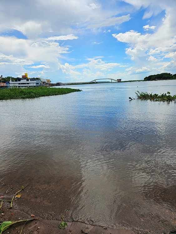 SE O MEU RIO ADOECER...