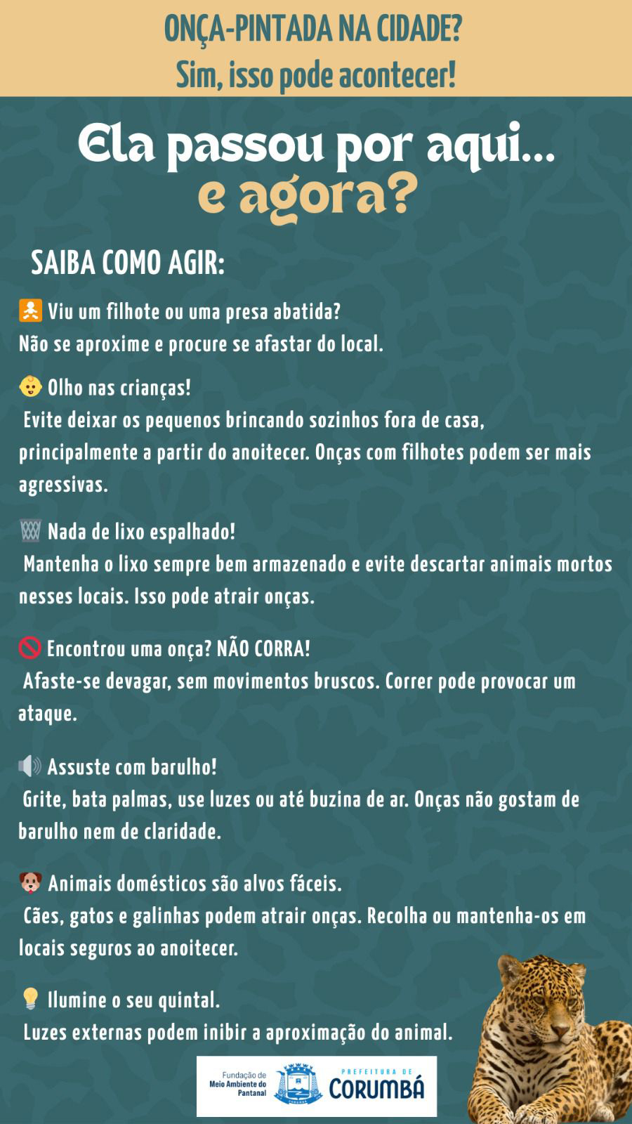População da Cacimba recebe orientações sobre presença de onça-pintada na área urbana