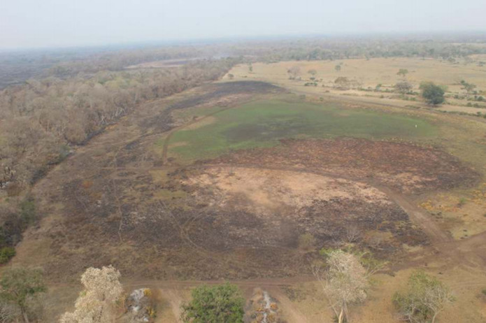 MPMS investiga incêndio que destruiu 6,1 mil hectares no Pantanal de Aquidauana