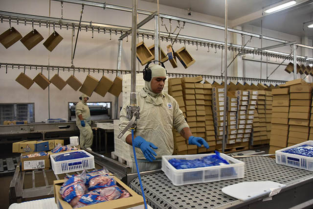 Receita com exporta&ccedil;&atilde;o de industrializados de MS registra US$ 586,9 milh&otilde;es em abril