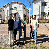 Plantio de mudas nos Conjuntos Flamboyants &eacute; resultado de parceria entre Estado e Munic&iacute;pio