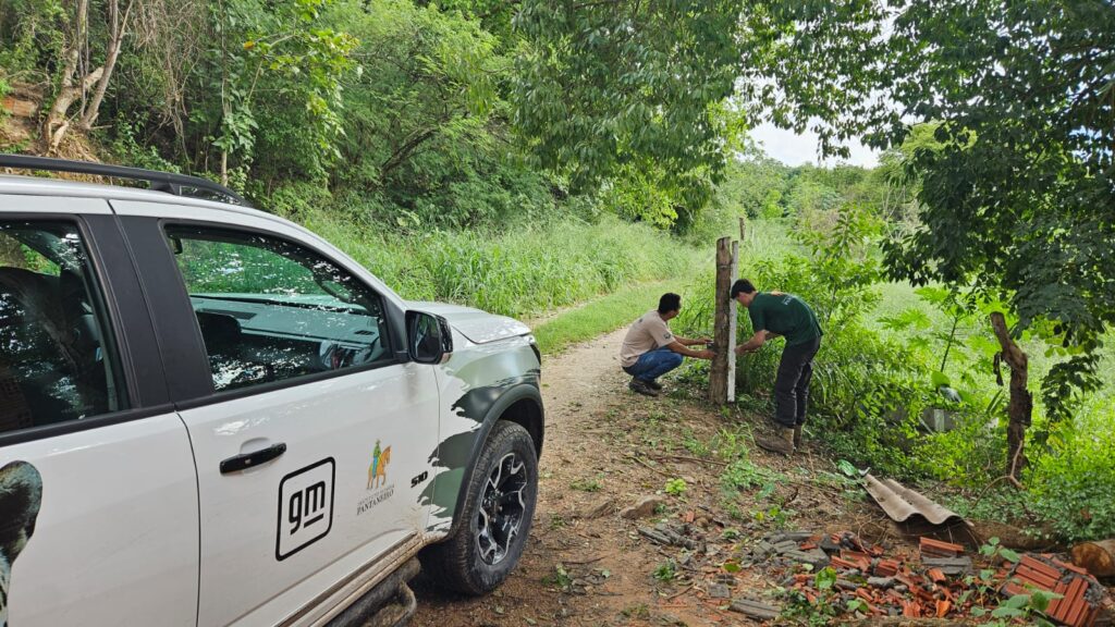 Registro de onças-pintadas em área urbana de Corumbá – o que fazer?