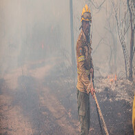 Ibama inicia Opera&ccedil;&atilde;o Pantanal 2025 para prevenir inc&ecirc;ndios no bioma