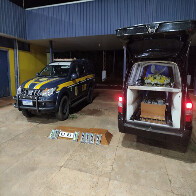 Carro F&uacute;nebre que saiu de Corumb&aacute; com 162 Kg de coca&iacute;na escondidos em caix&atilde;o foi detido pela PRF na BR-262
