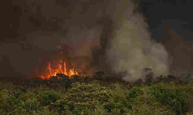 C&acirc;mara Federal aprova aumento de puni&ccedil;&atilde;o a quem provocar inc&ecirc;ndios florestais 