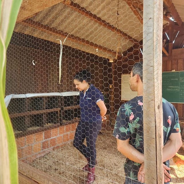 Agraer, Embrapa e Iagro refor&ccedil;am preven&ccedil;&atilde;o &agrave; gripe avi&aacute;ria com foco na agricultura familiar