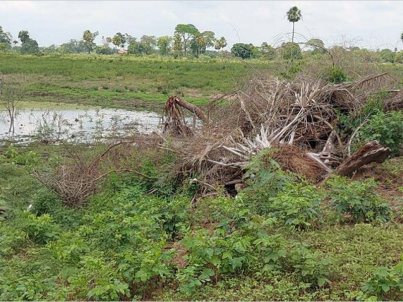 MPMS investiga danos ambientais em propriedades rurais no Pantanal