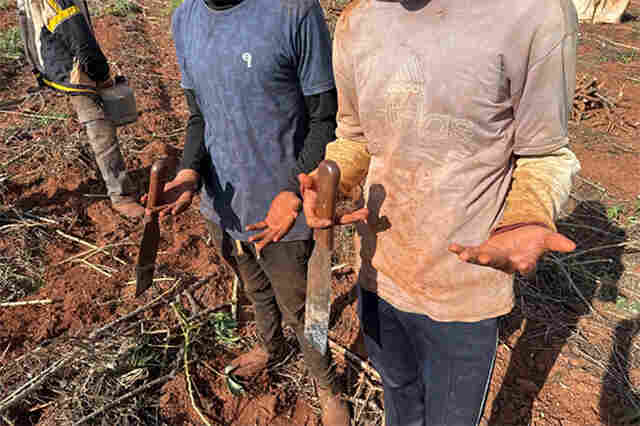 For&ccedil;a-tarefa resgata sete paraguaios v&iacute;timas de escravid&atilde;o contempor&acirc;nea em Itaquira&iacute;