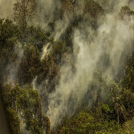 No m&ecirc;s de maio, Pantanal e Cerrado registram continuidade na queda no desmatamento; Amaz&ocirc;nia &eacute; afetada por inc&ecirc;ndios e seca hist&oacute;rica