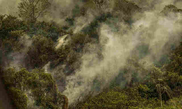 No m&ecirc;s de maio, Pantanal e Cerrado registram continuidade na queda no desmatamento; Amaz&ocirc;nia &eacute; afetada por inc&ecirc;ndios e seca hist&oacute;rica