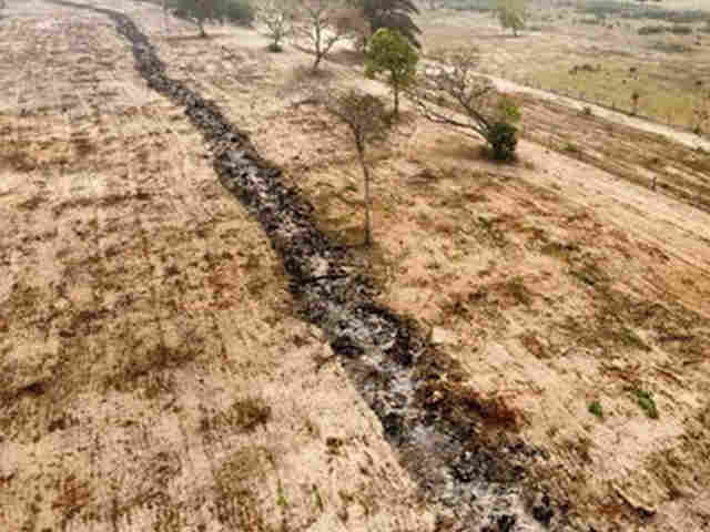 MPMS instaura dois inqu&eacute;ritos civis para apurar inc&ecirc;ndios que devastaram 86 hectares no Pantanal de Corumb&aacute;
